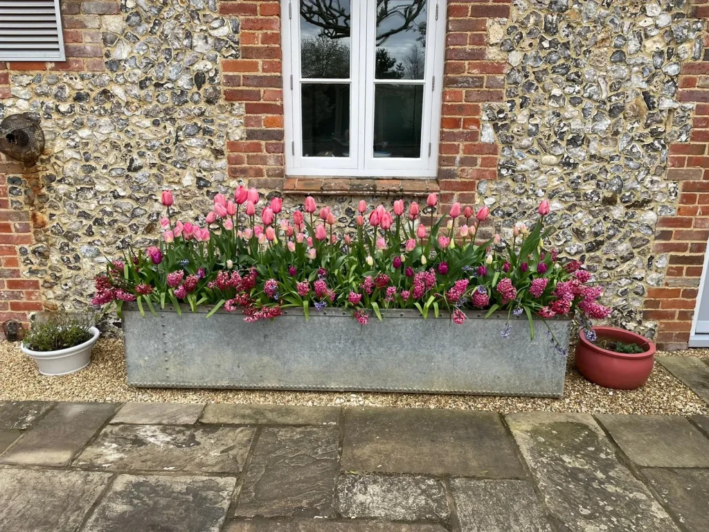 Landscape gardening and maintenance in Marlow
