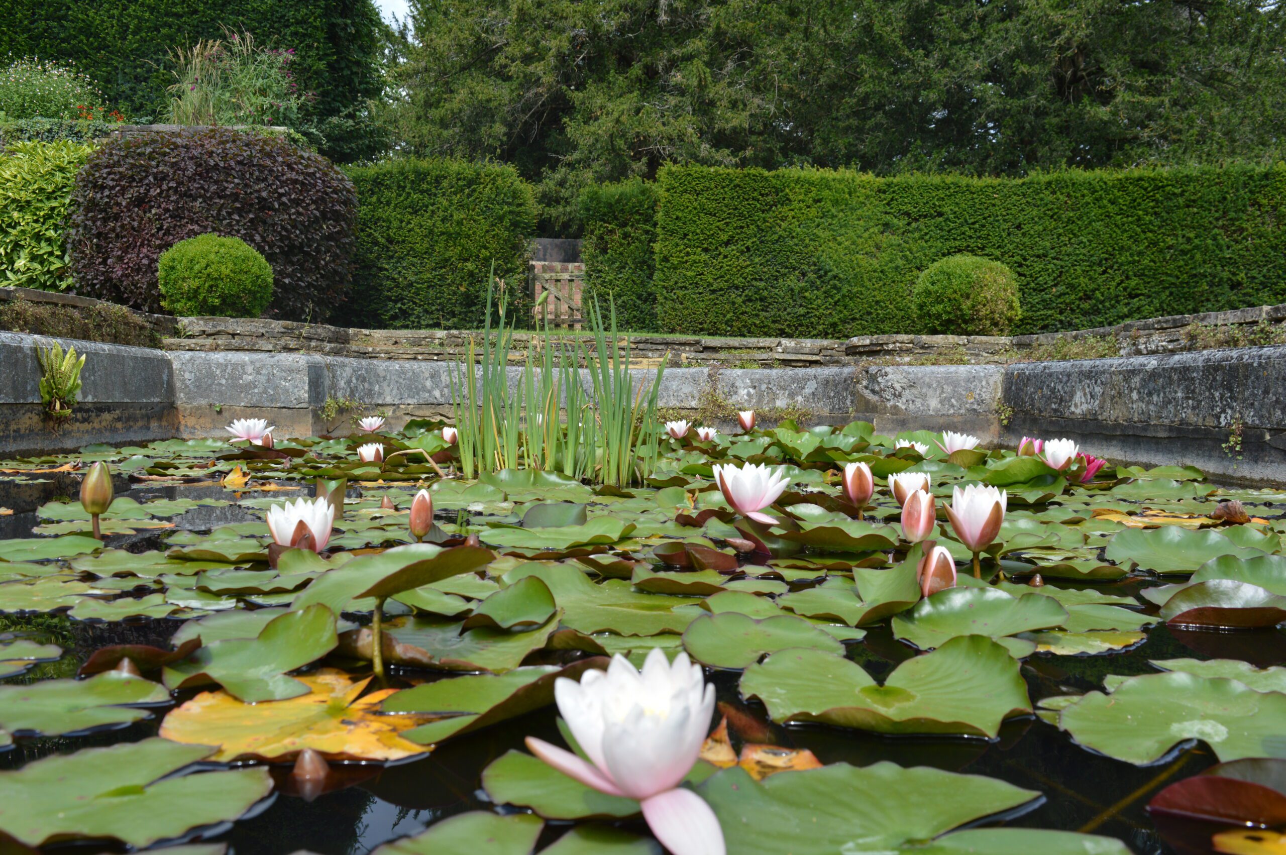 Wedding Venue Commercial Grounds Maintenance