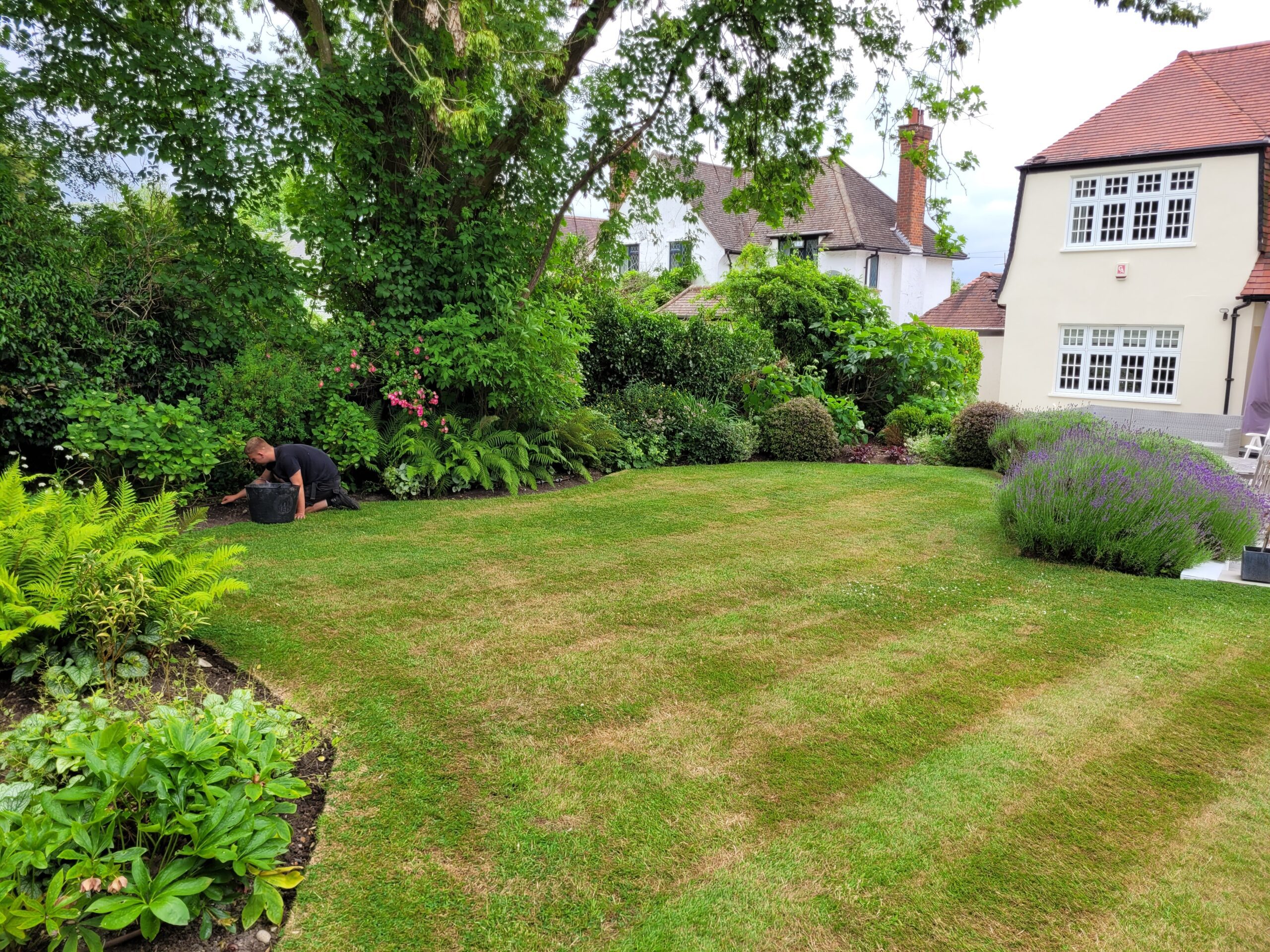 Garden Maintenance in Hertfordshire