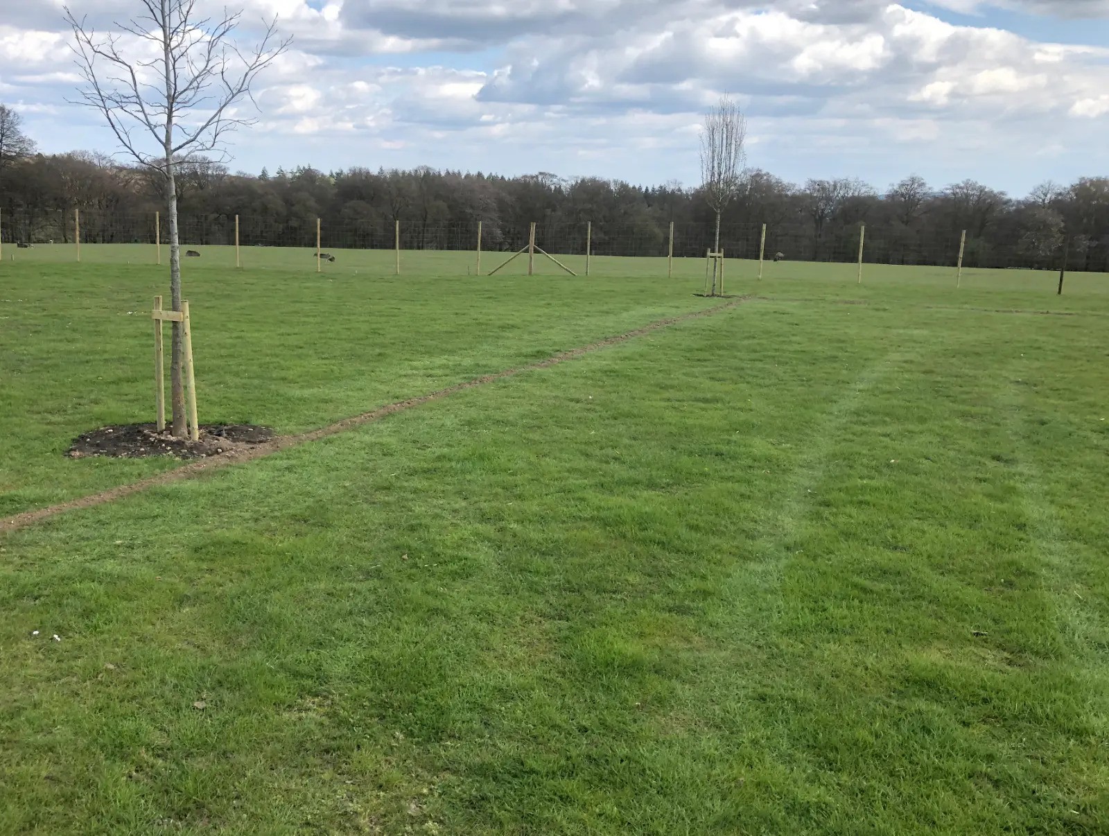 Irrigation System for Trees Henley-on-Thames