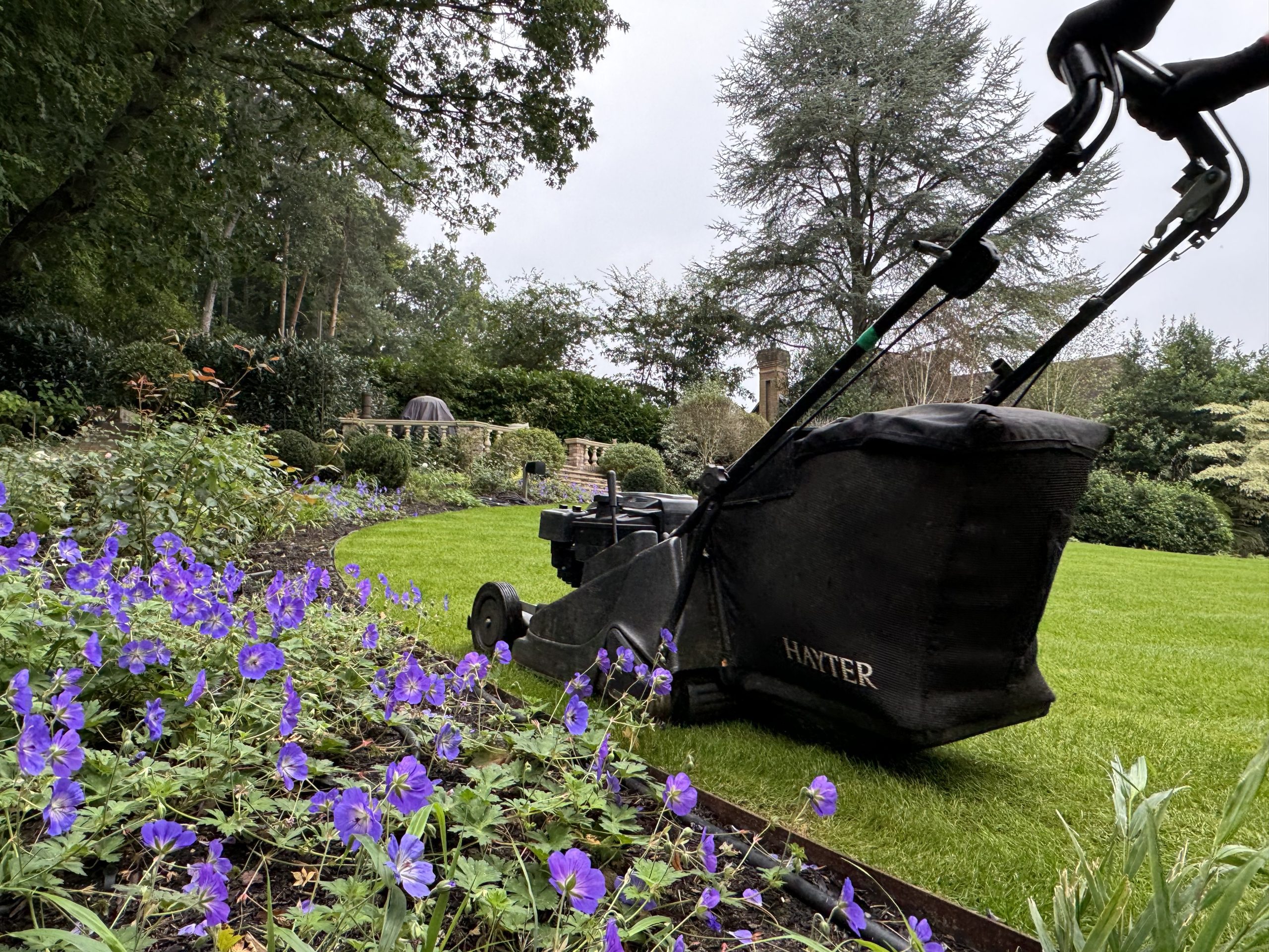 Garden Maintenance Services from Hortlands