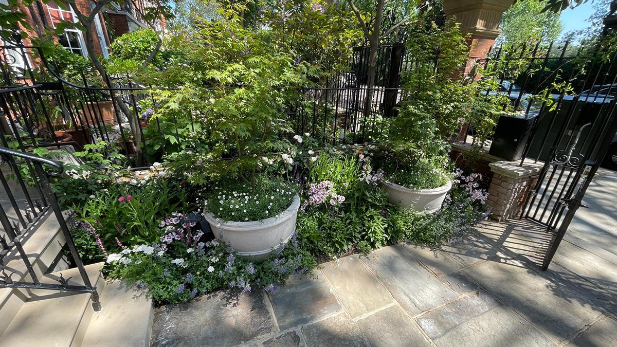 Landscaping Garden Transformation in Chelsea