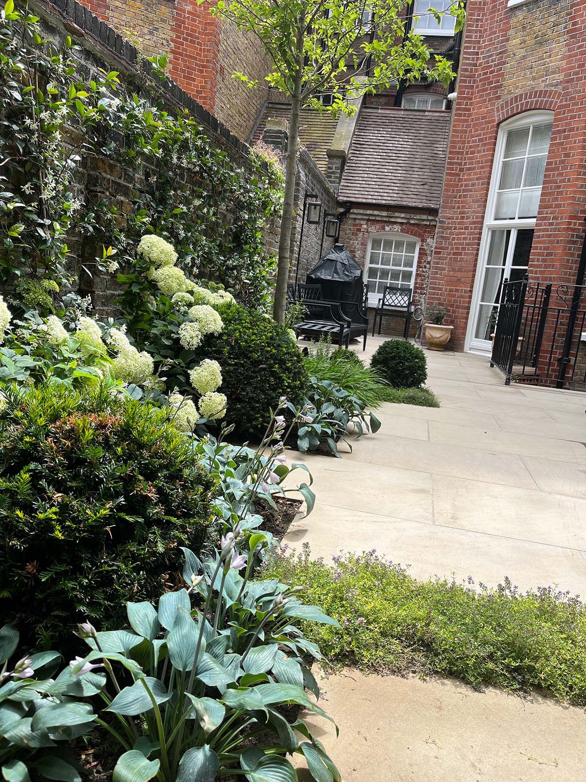 Landscaping Garden Transformation in Chelsea