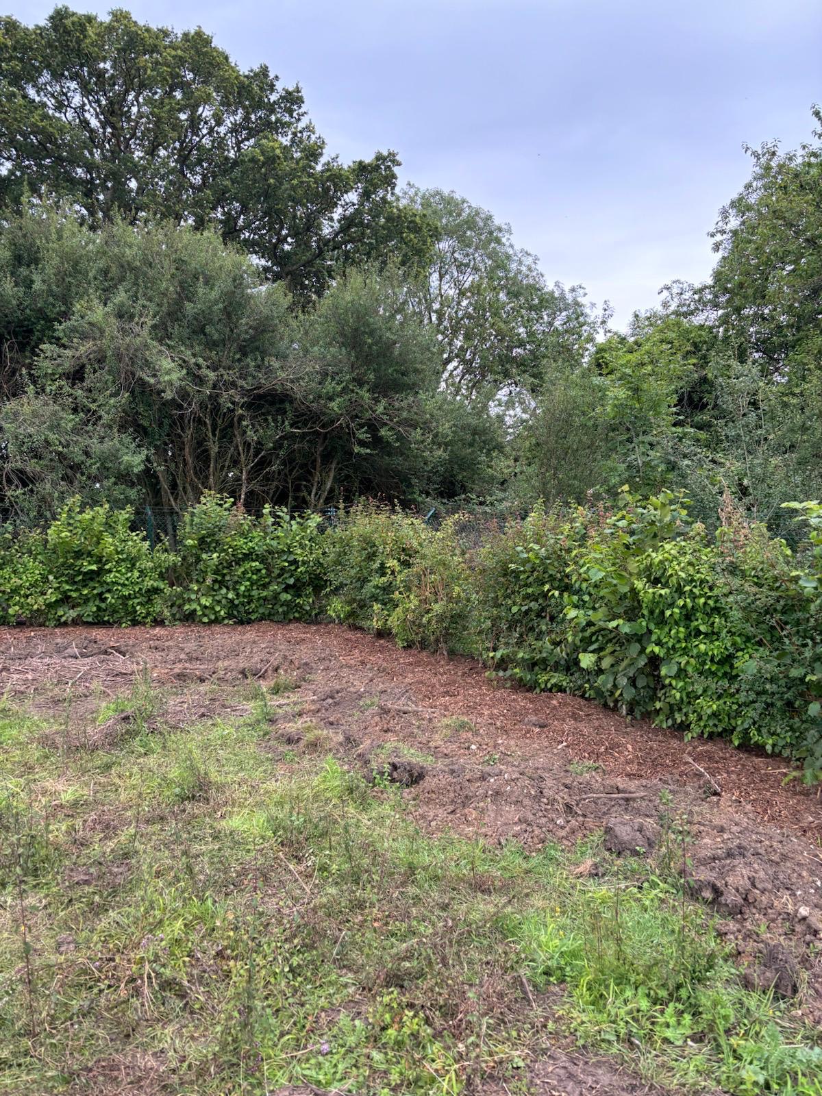 Mixed Native Instant Hedge Supply & Installation