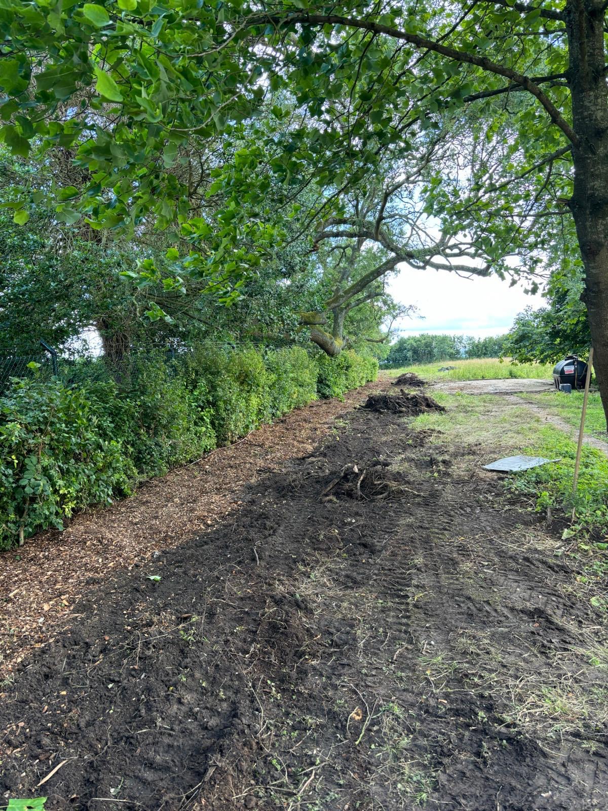 Mixed Native Instant Hedge Supply & Installation