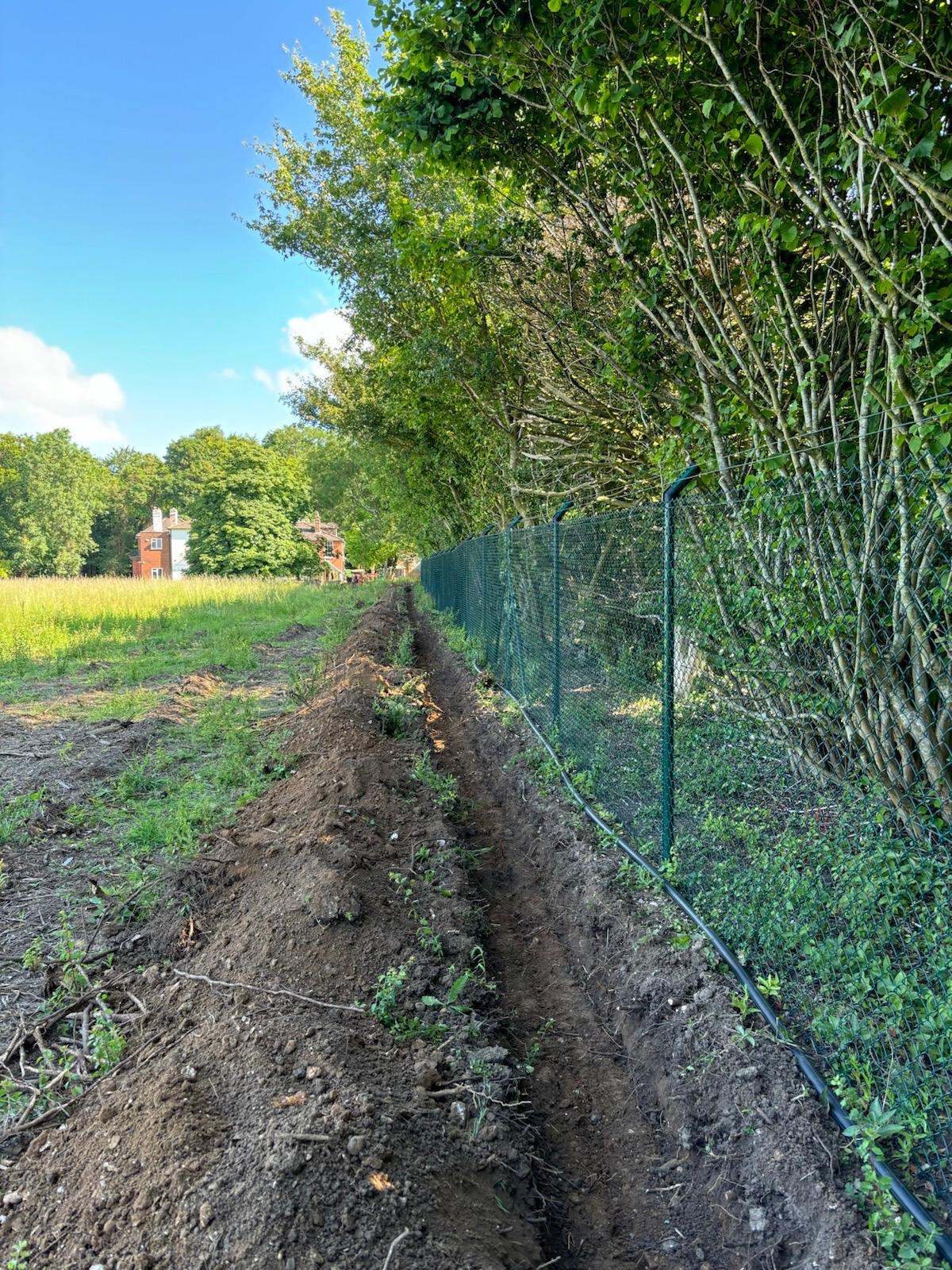 Mixed Native Instant Hedge Supply & Installation