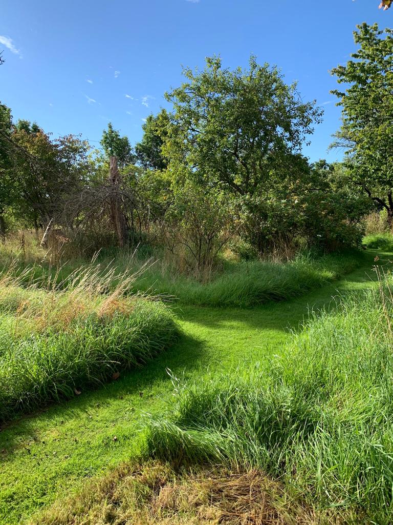 Meadow Cutting in Marlow