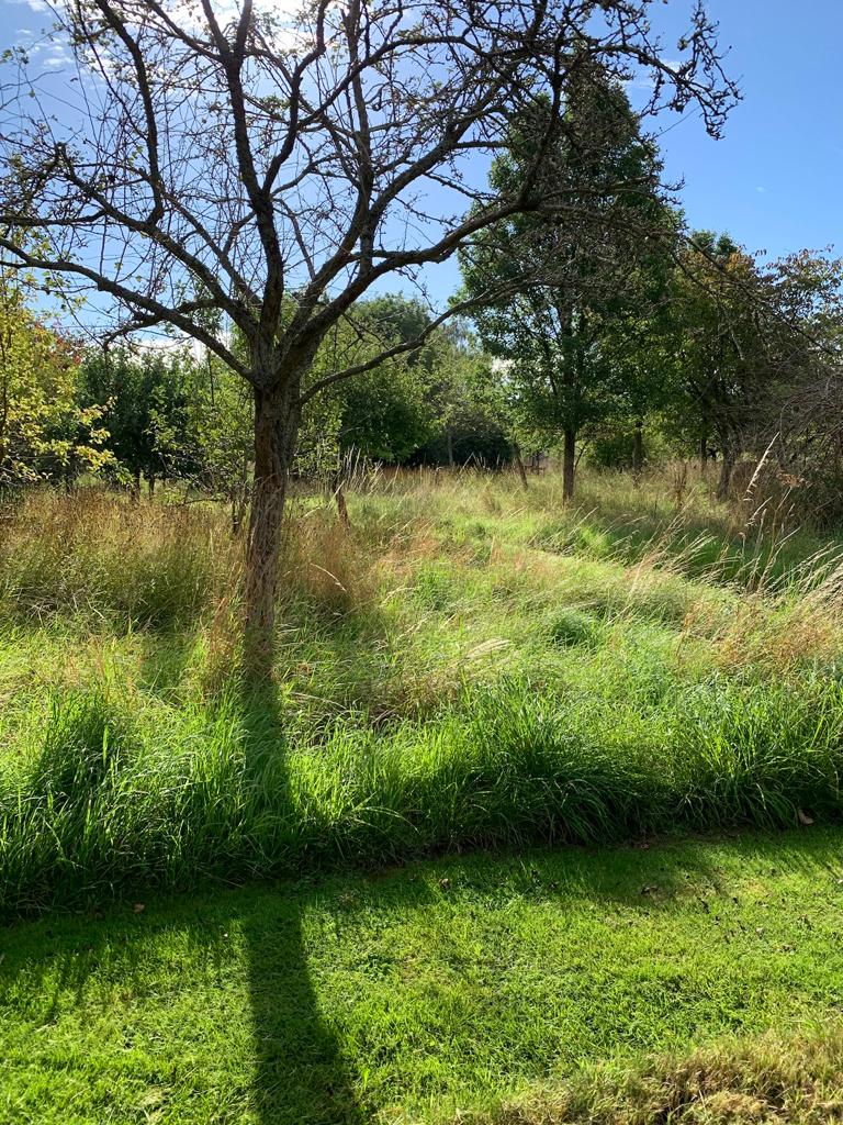 Meadow Cutting in Marlow