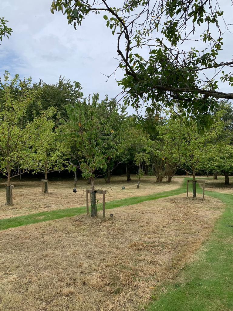 Meadow Cutting in Marlow