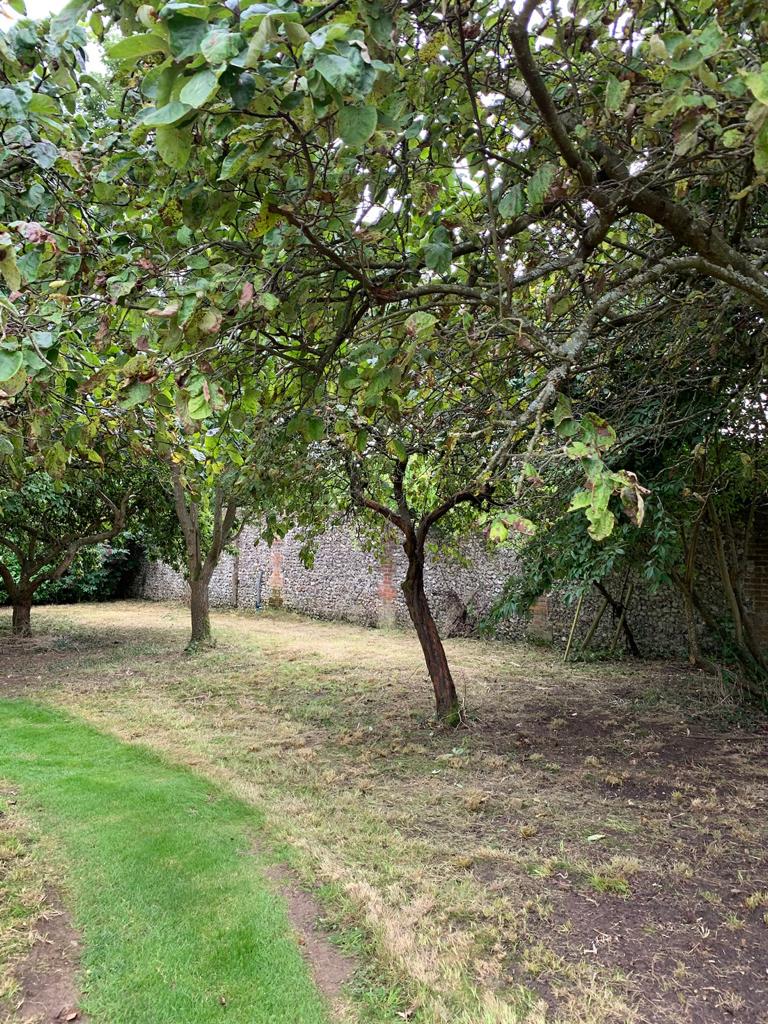 Meadow Cutting in Marlow