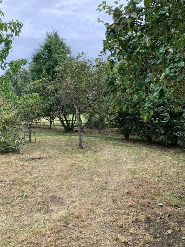 Meadow Cutting in Marlow