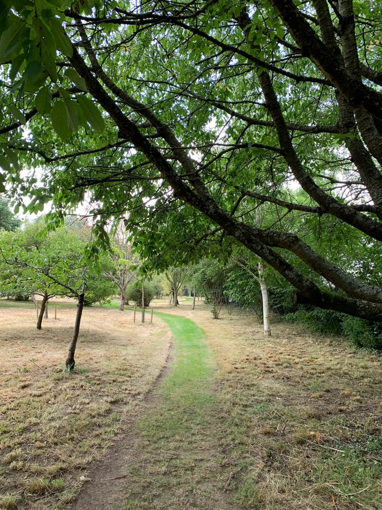 Meadow Cutting in Marlow