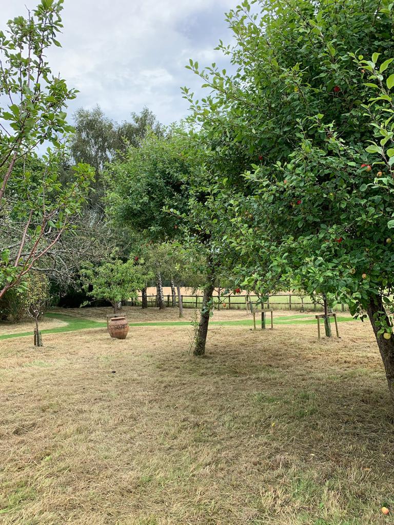 Meadow Cutting in Marlow