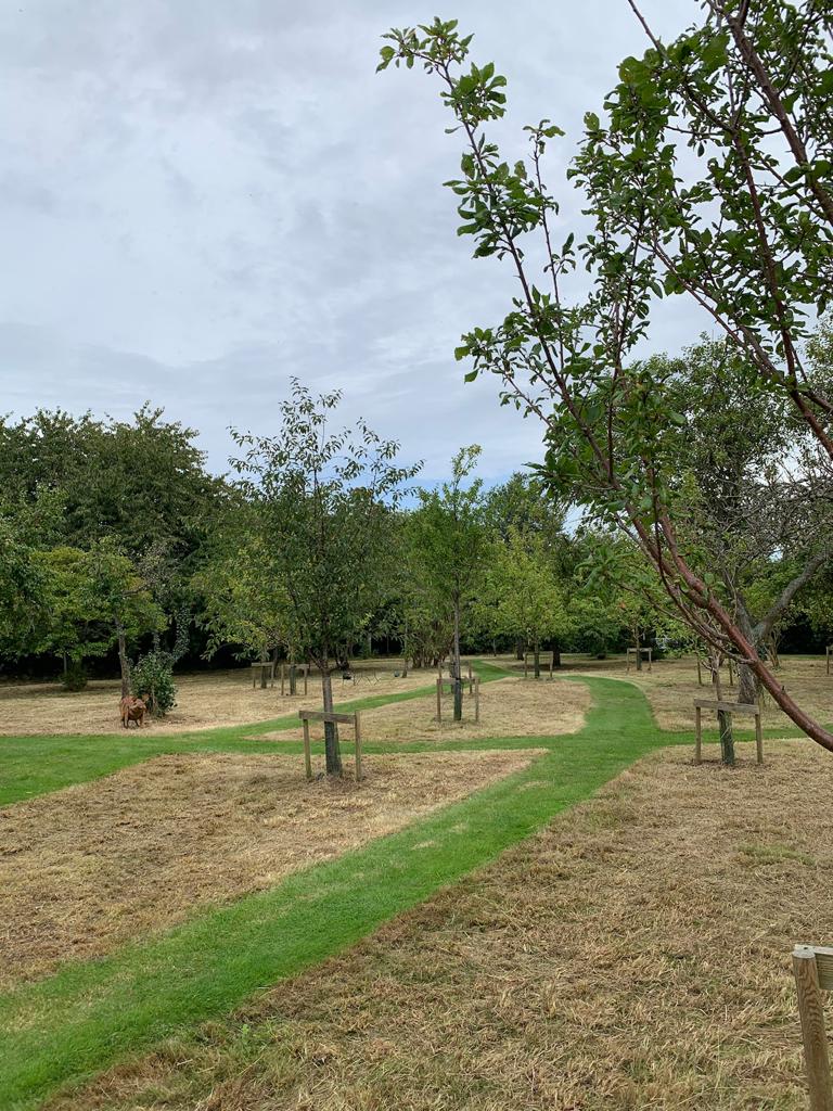 Meadow Cutting in Marlow