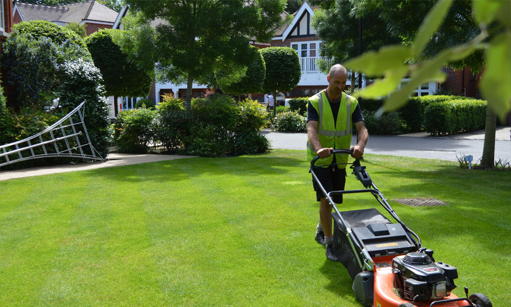 Commercial Grounds Maintenance by Hortlands