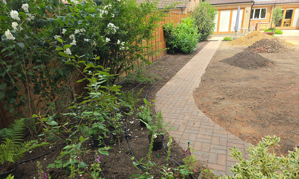 Five zone mains fed dripline system
