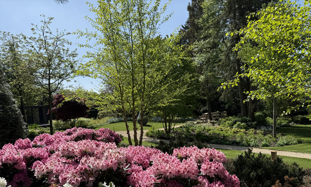 Garden Landscaping, Planting & Irrigation