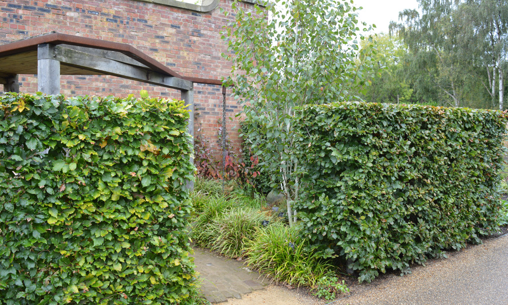 Landscaping and Garden Design Services in Berkshire