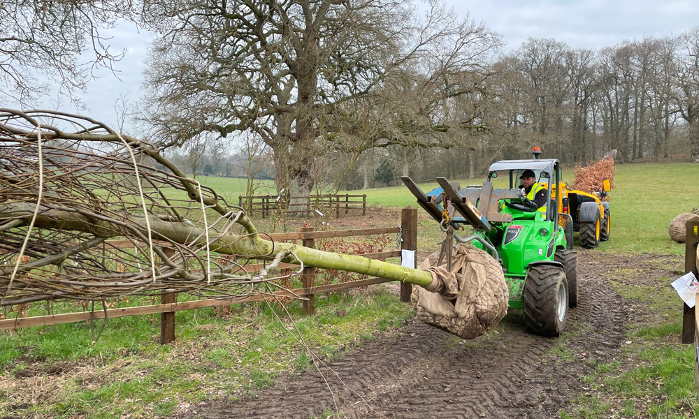 Premium Landscaping and Garden Services in Buckinghamshire