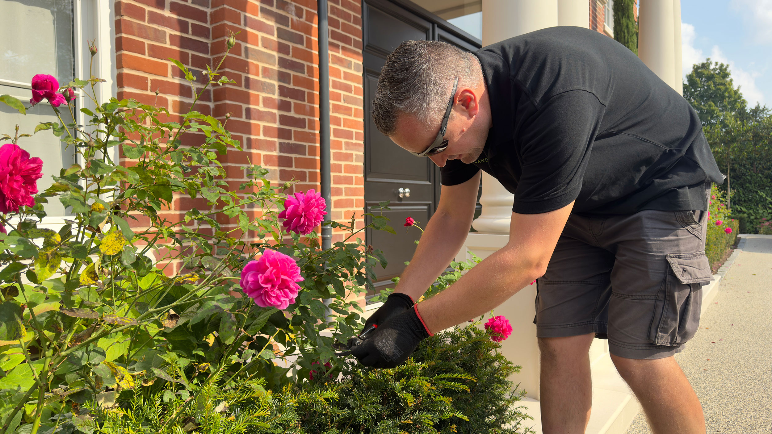 Premium Landscaping and Garden Services in Buckinghamshire