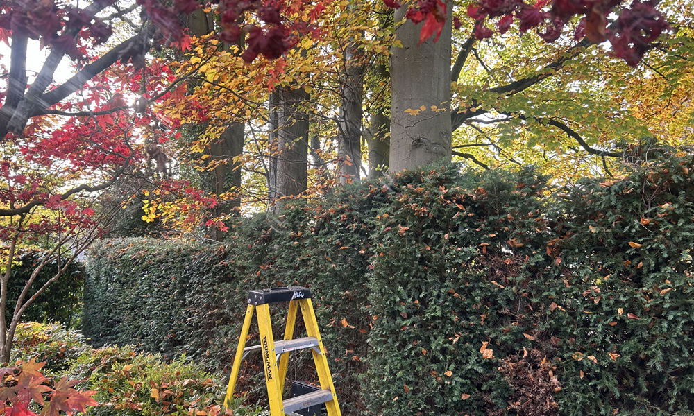 Premier Landscaping and Garden Services in Oxfordshire