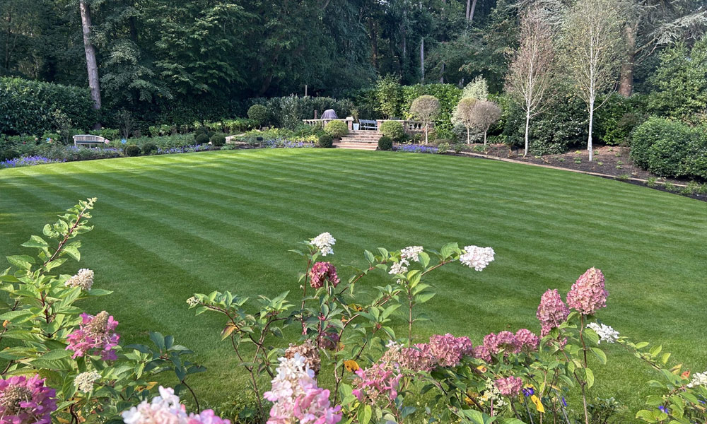 Garden Design and Build in Chertsey, Surrey