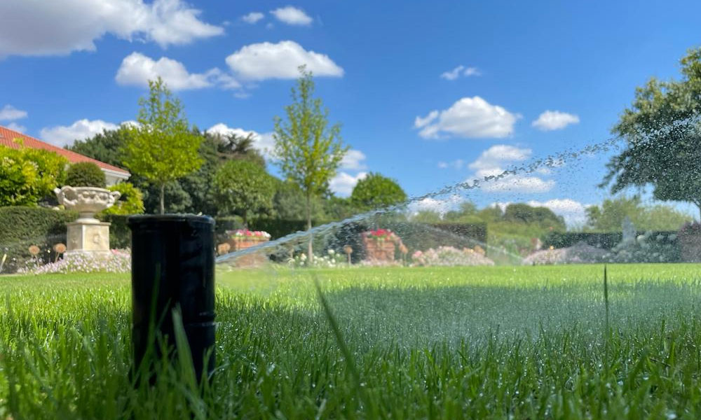 Why Irrigate Your Garden?