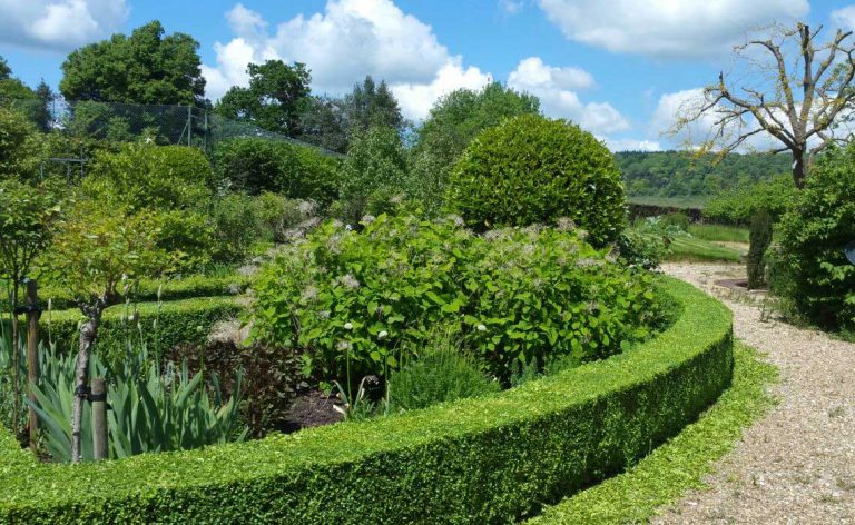 Garden Landscaping in Dorking