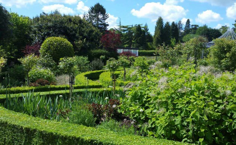 Garden Landscaping in Dorking