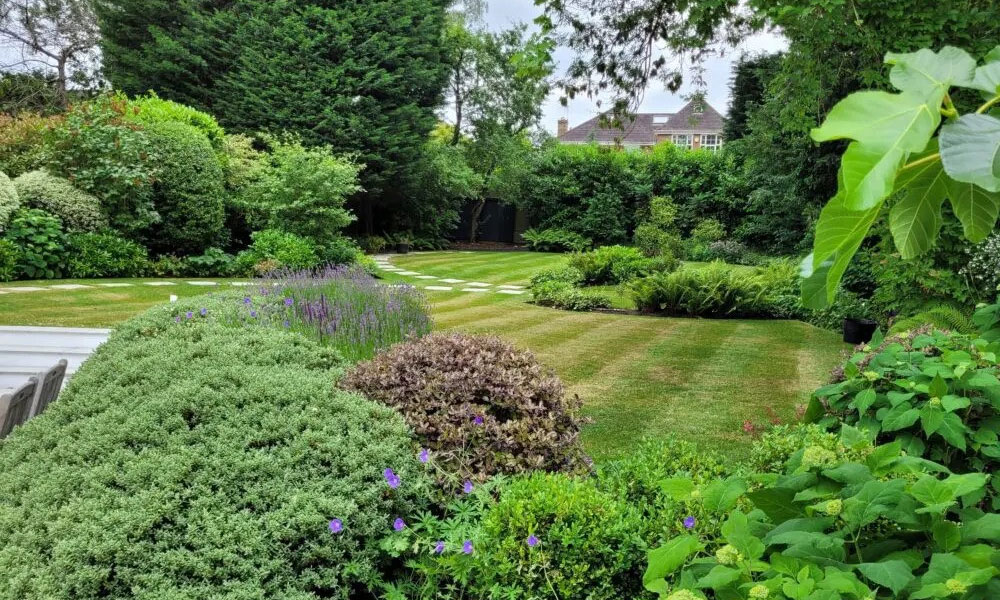 Caring for Borders, Beds and Planting