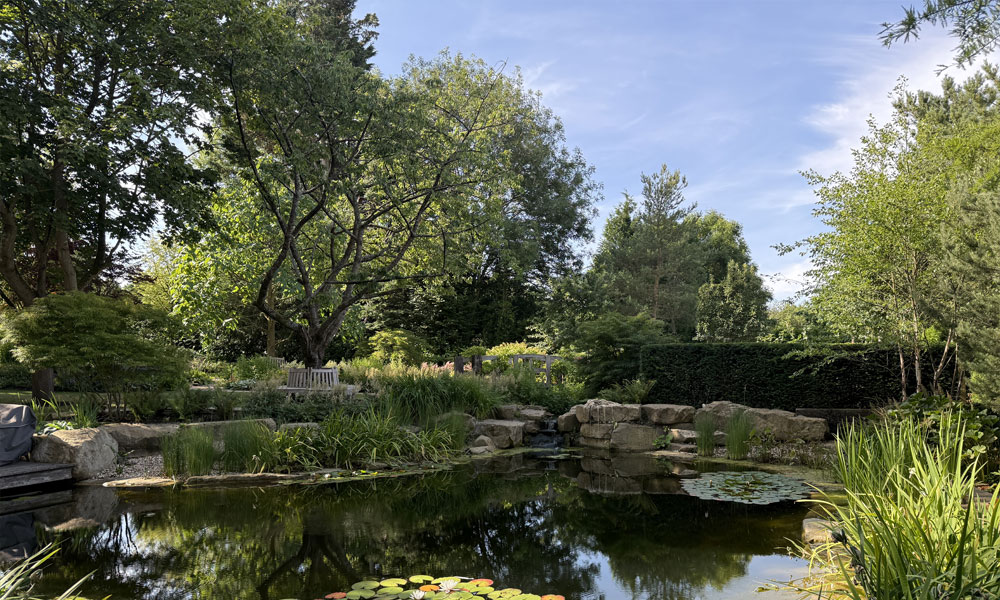 Garden Landscaping, Planting & Irrigation