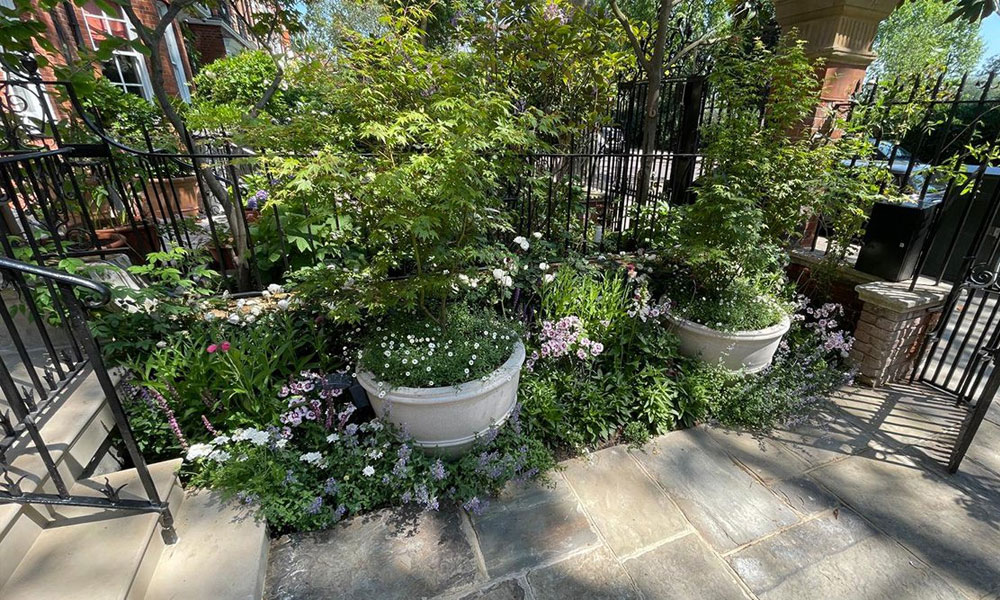 Garden Transformation in Chelsea