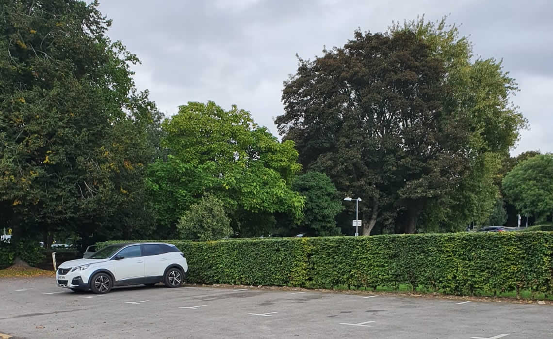 Buryfield Recreation Park Instant Hedge Install