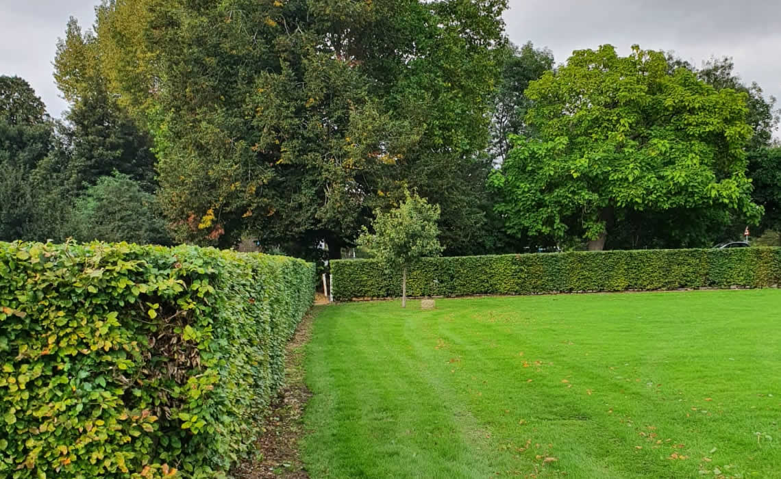 Buryfield Recreation Park Instant Hedge Install