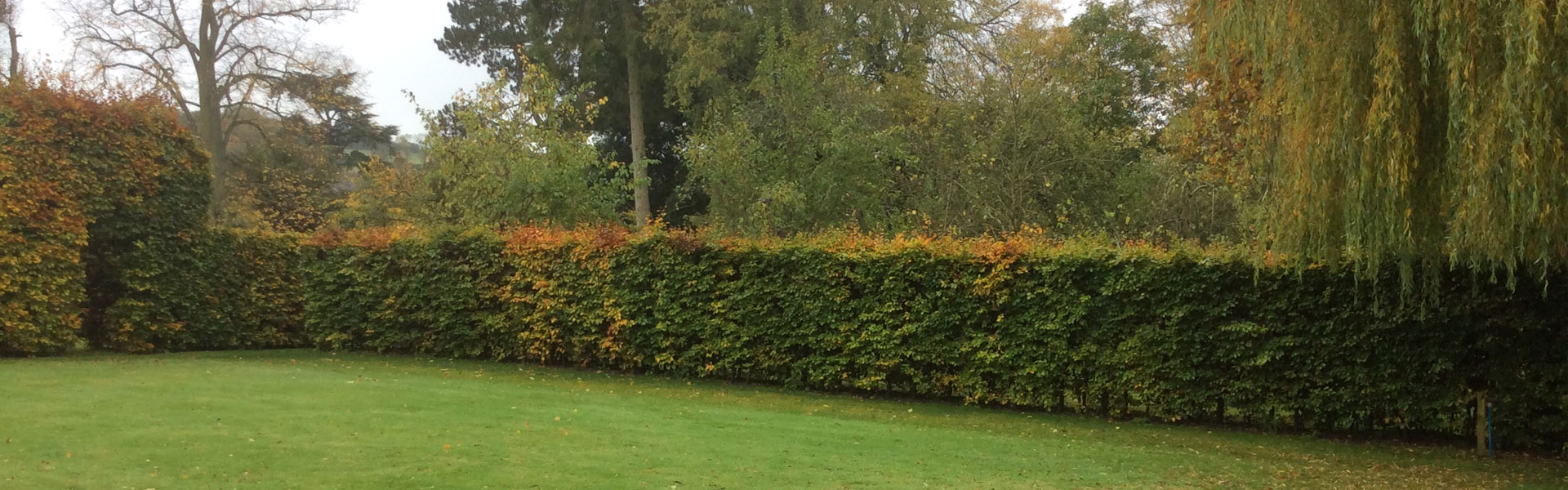Hortlands