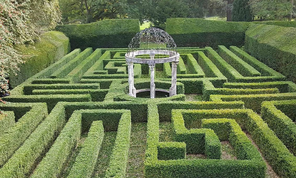 A Guide to Pruning Hedges