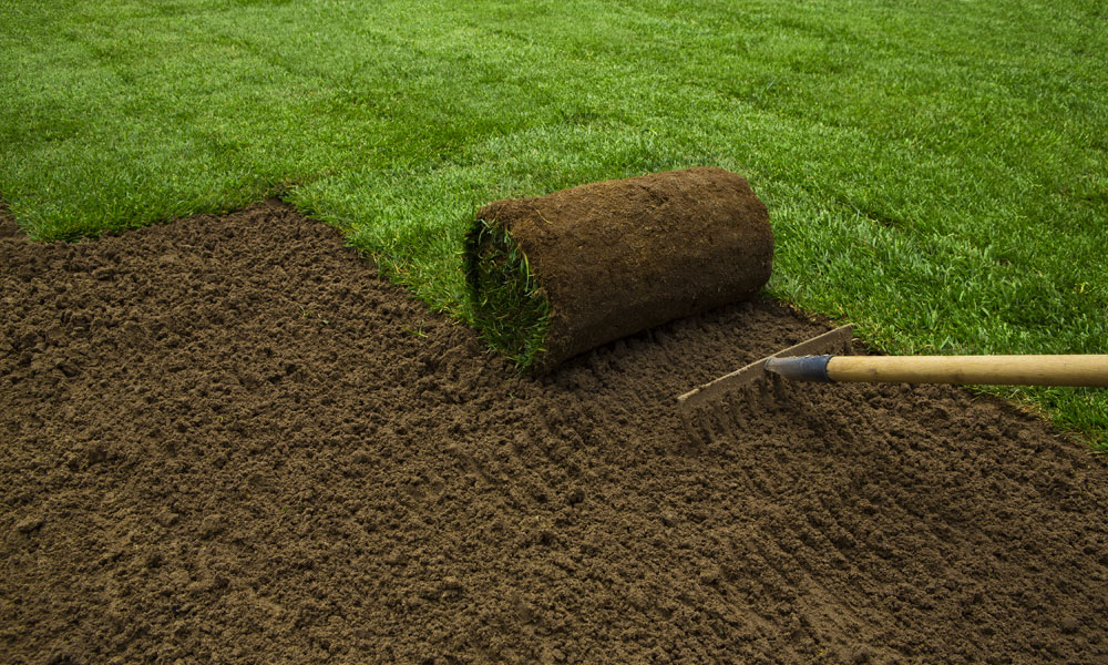 A Guide to Turfs & Topsoils