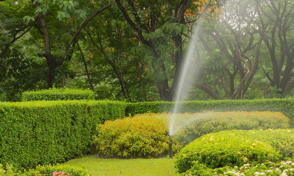 Guide to Watering