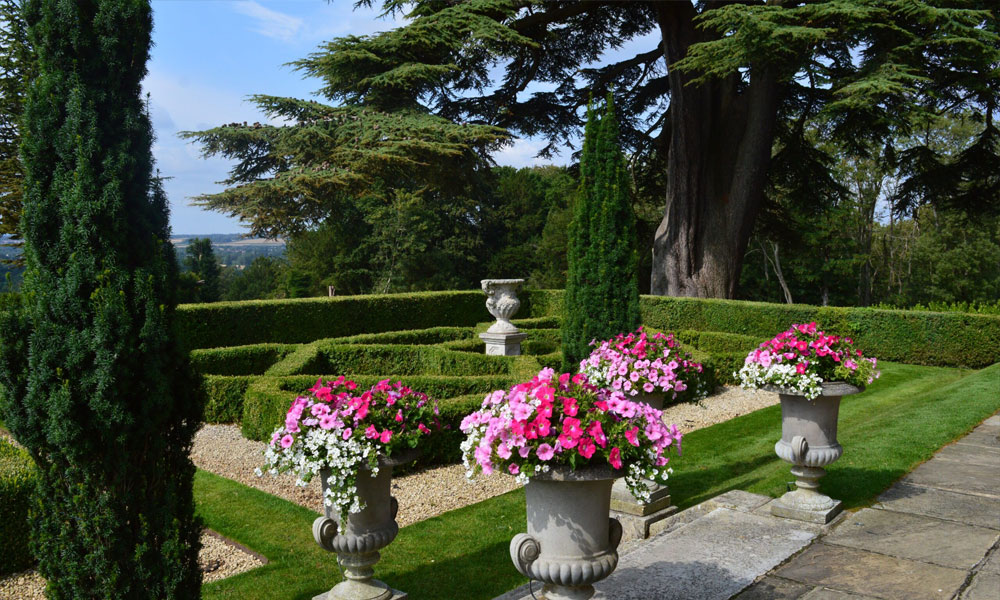 Breathe New Life into Your Garden