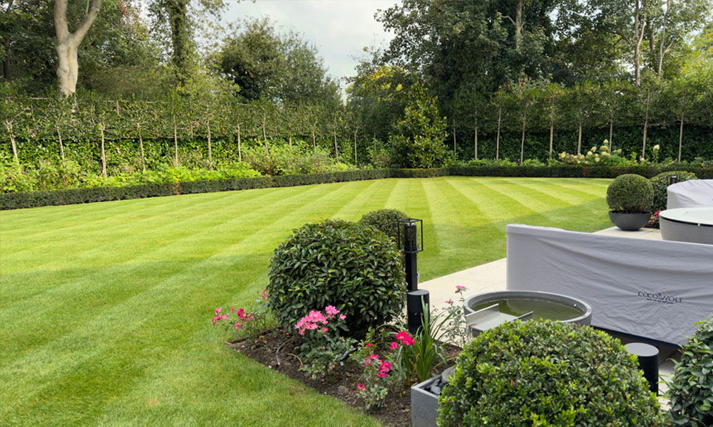 Larger gardens needing controlled irrigation across multiple areas