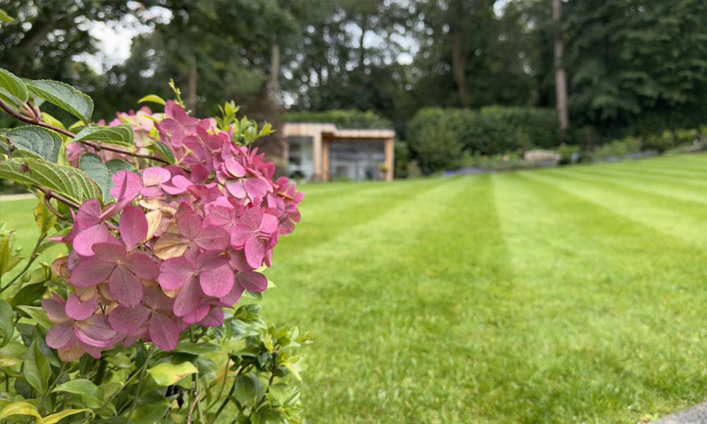 Expert Landscaping and Garden Services across the South East of England