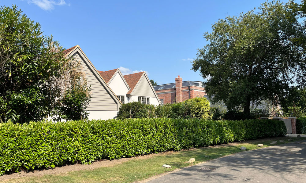 Instant Laurel Hedging & Security Railings