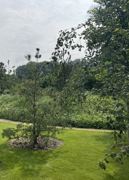 Hortlands