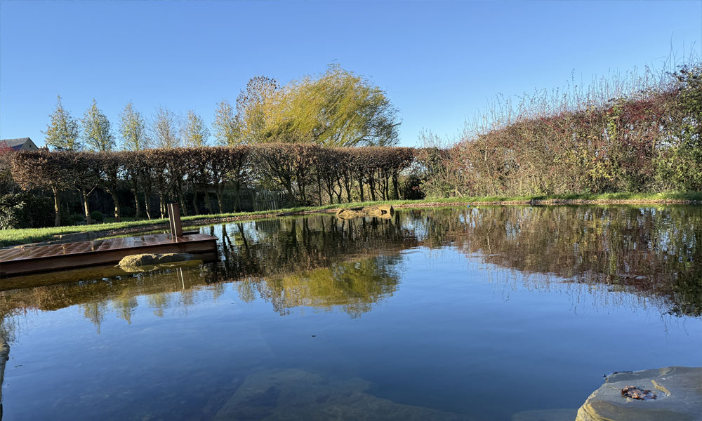 Swimming Pool to Swimming Pond Transformation