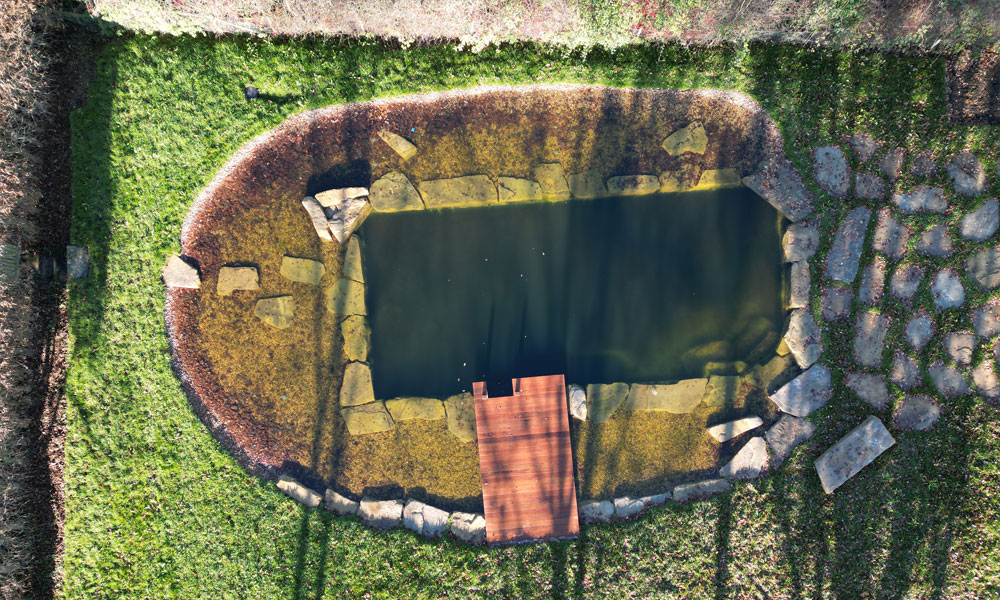 Swimming Pool to Swimming Pond Transformation