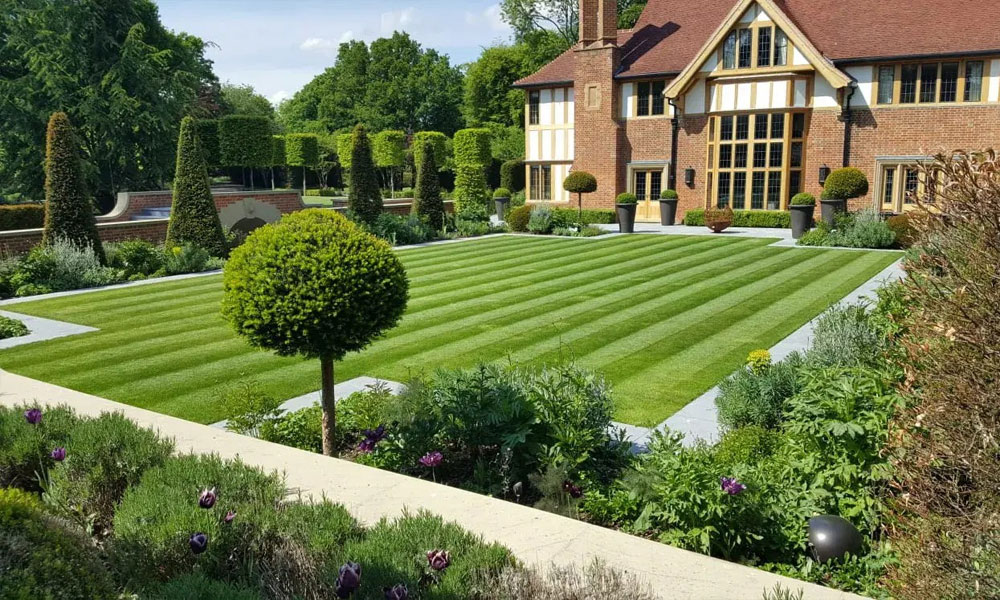 The Art Of Topiary