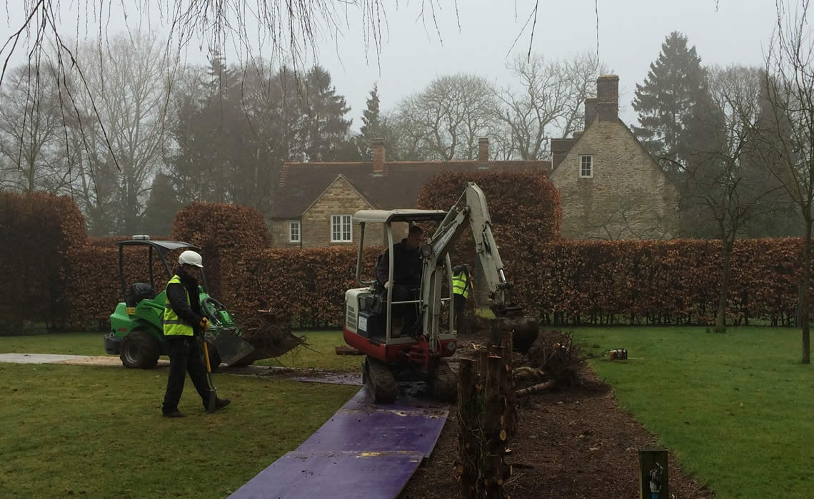 Mature Tree Planting Warwickshire