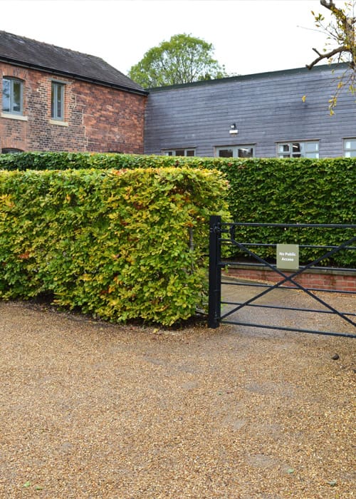 Hortlands