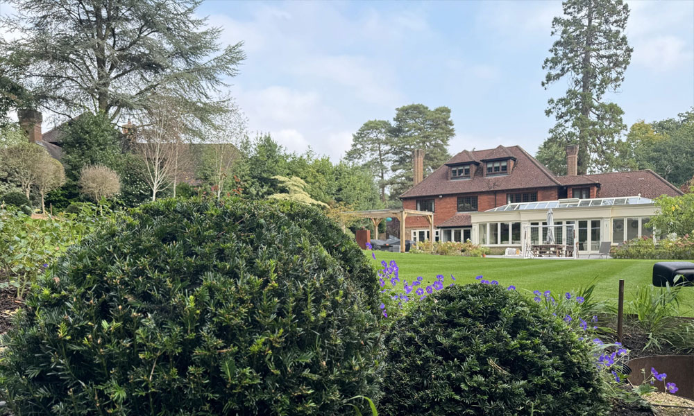 Each season brings new and exciting views in the garden
