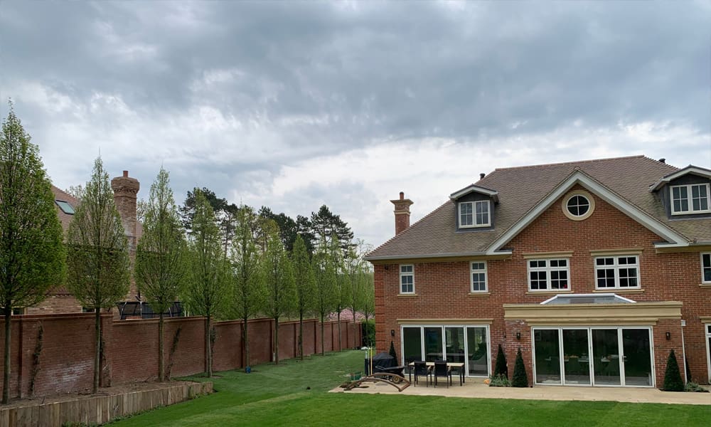 Mature Trees vs Young Trees: Which Is Best for Your Garden?